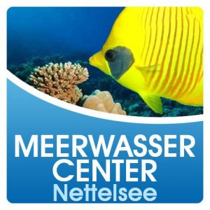 (c) Meerwassercenter.com
